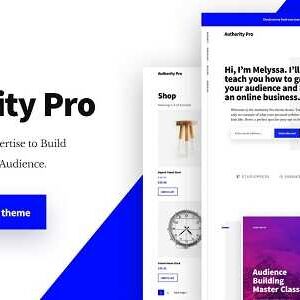 Authority Pro Theme GPL