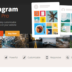 Custom Instagram Feed Pro GPL