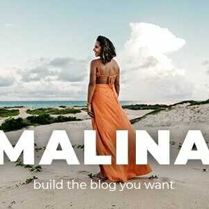Malina Theme GPL