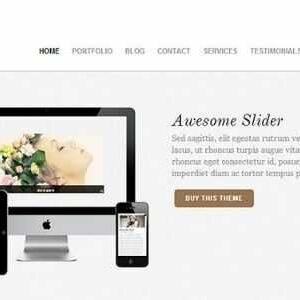 Themify Agency WordPress Theme GPL