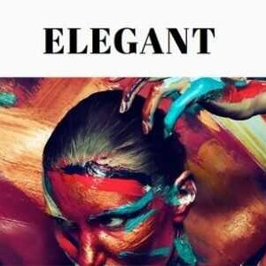 Themify Elegant WordPress Theme GPL