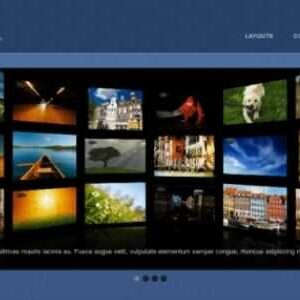 Themify Bizco WordPress Theme GPL