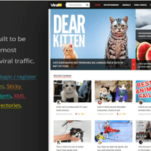 ViralVideo Theme GPL