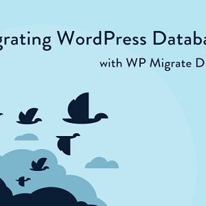 WP Migrate DB Pro GPL