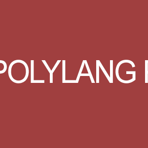 Polylang Pro GPL