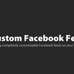 Custom Facebook Feed Pro GPL