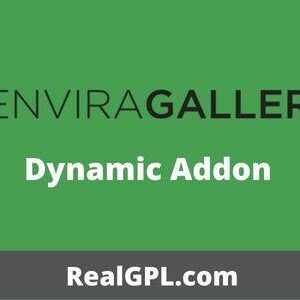 Envira Gallery Dynamic Addon GPL