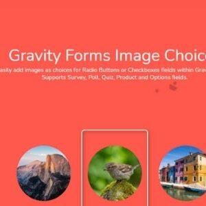 Gravity Forms Image Choices GPL