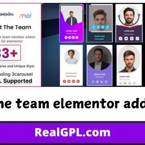 Meet the team elementor addon GPL