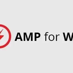 WPML Integration with AMP GPL